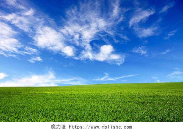 绿色的原野和蓝色的天空自然背景
